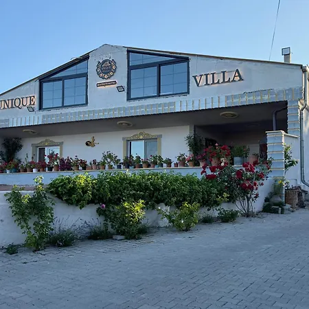 Unique In Cappadocia Villa