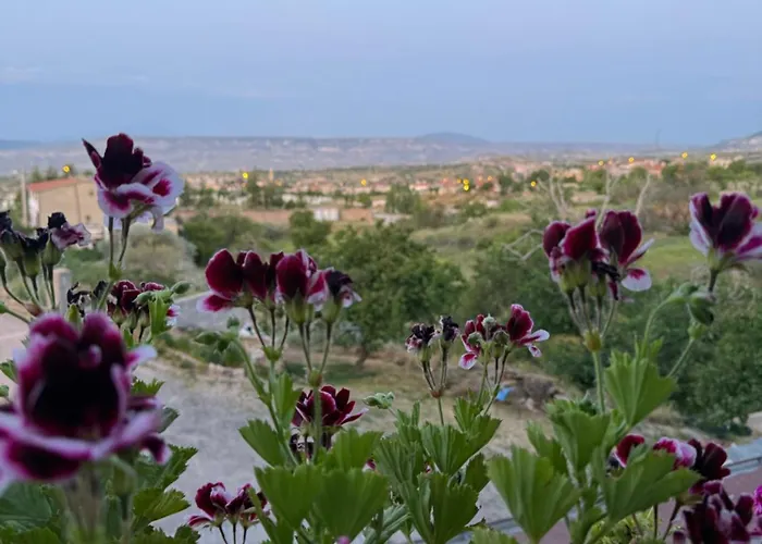 Unique In Cappadocia Villa